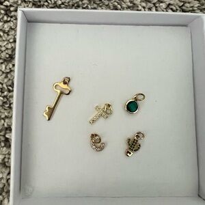 Gold necklace charms
